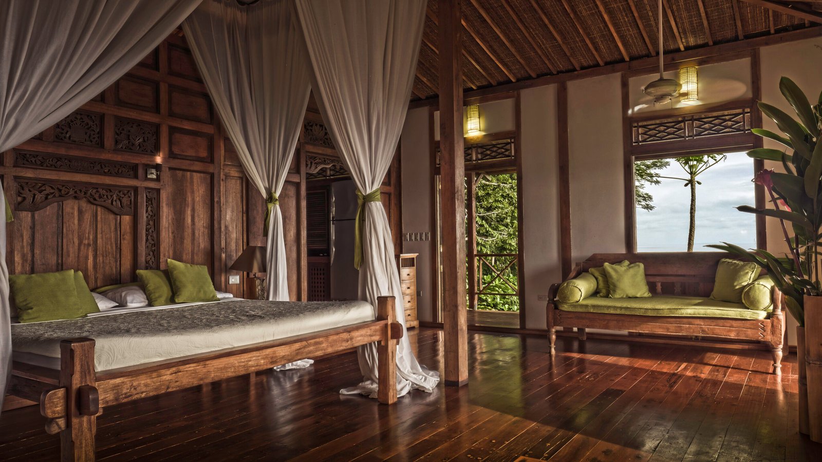 The Sacred Return: A Costa Rican Retreat copy of potoo scaled.jpg