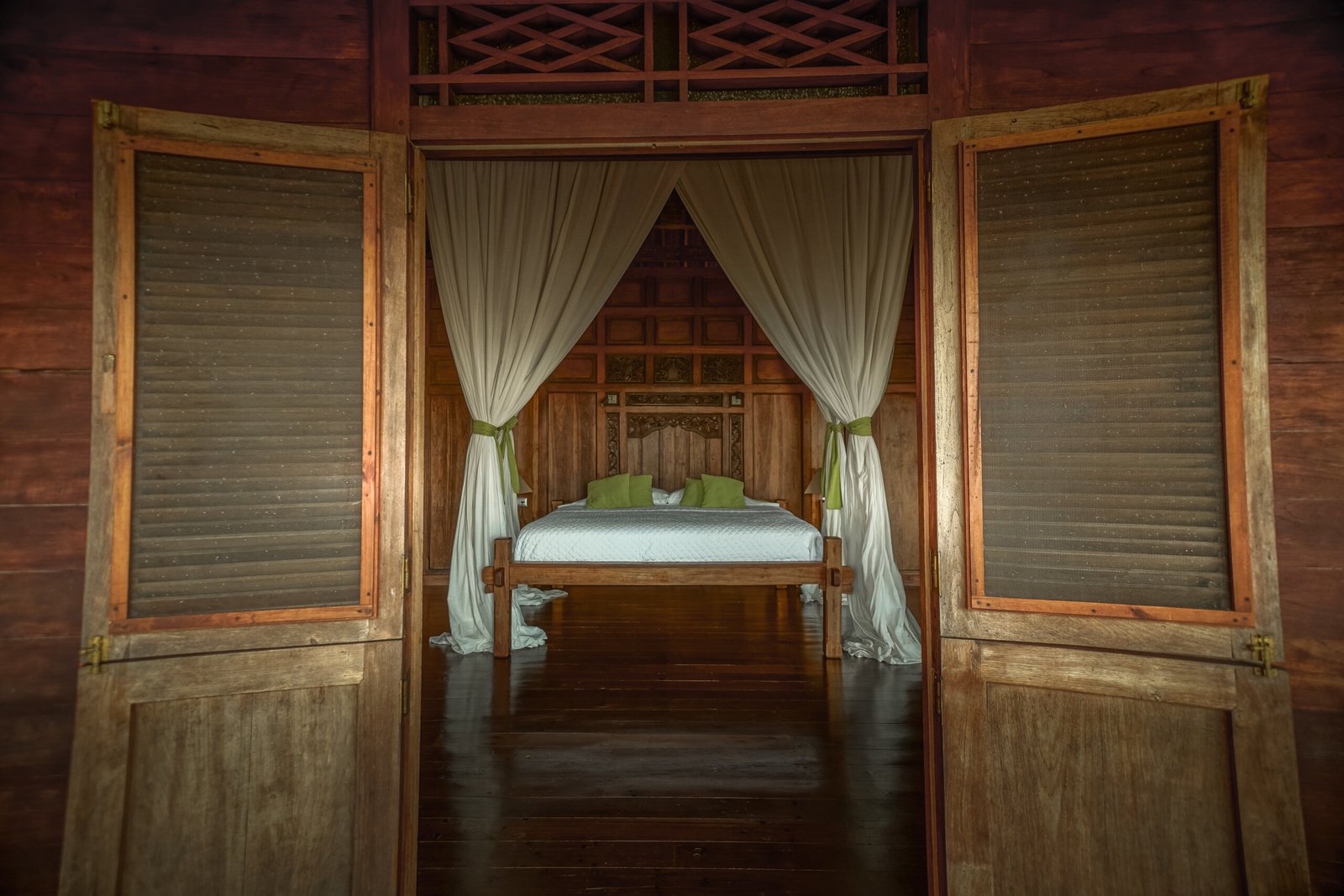 The Sacred Return: A Costa Rican Retreat copy of potoo1 scaled.jpg