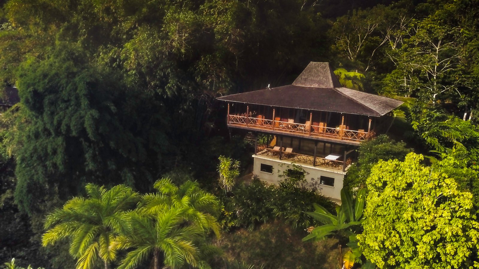 The Sacred Return: A Costa Rican Retreat copy of potooaeral scaled.jpg