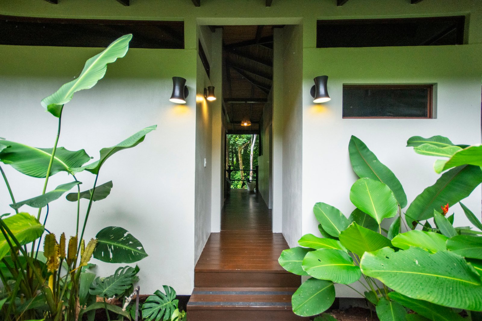 The Sacred Return: A Costa Rican Retreat ir35 scaled.jpg