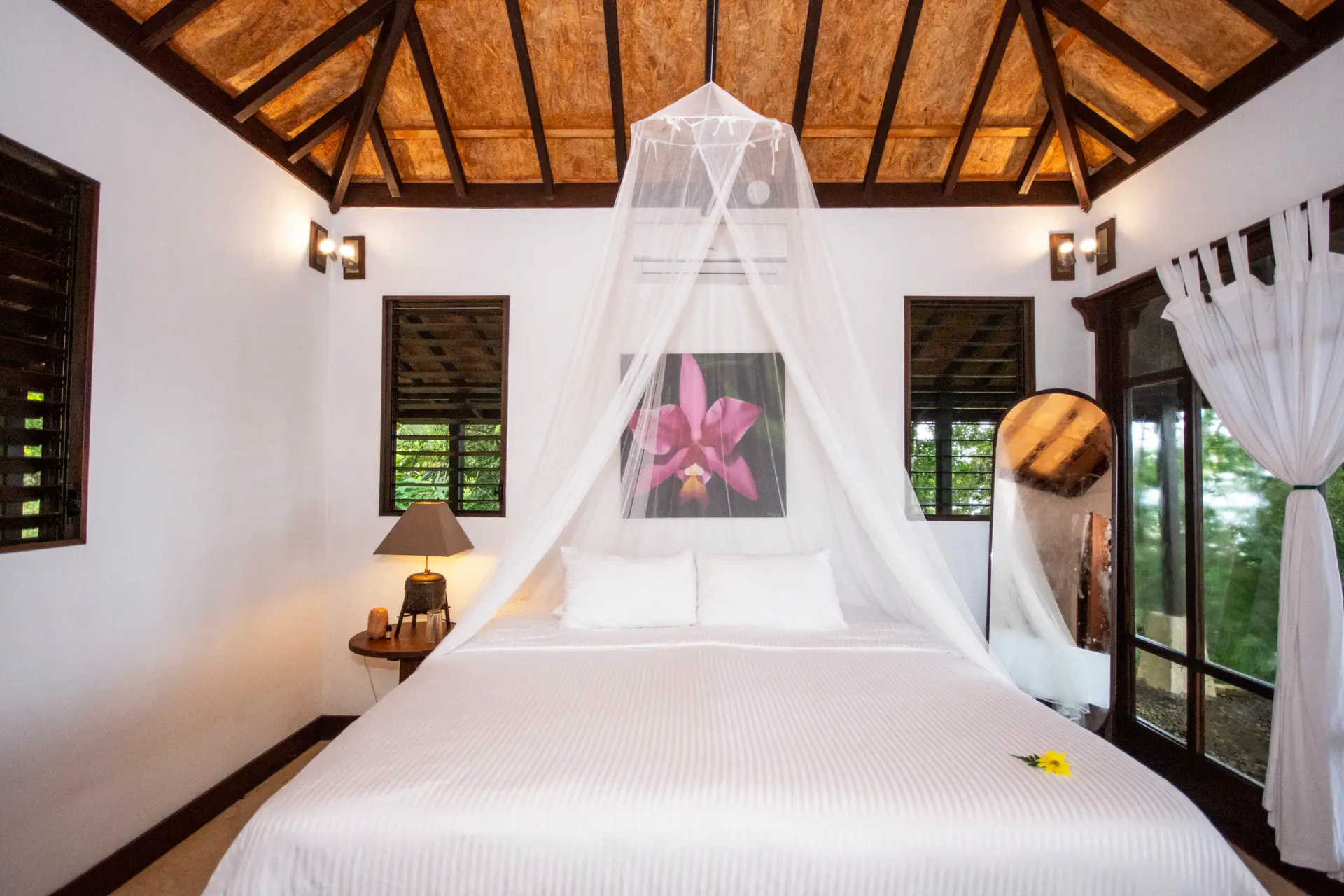 The Sacred Return: A Costa Rican Retreat ir4 scaled.jpg